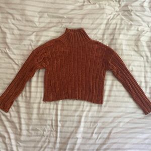 Cropped Turtle Neck